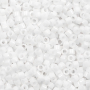 Perles Miyuki delicas 11/0 Matte AB white DB-351