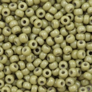 Perles de rocailles Miyuki 8/0 Duracoat opaque cactus green 8-4474