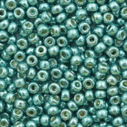 Perles de rocailles Miyuki 8/0 Duracoat galvanized sea foam green 8-4217