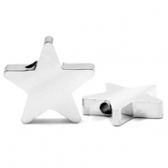 Perles en acier Inox &eacute;toile argent&eacute;