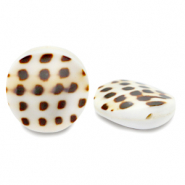 Perles coquillage 20mm Blanc marron