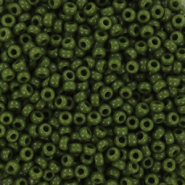 Perles de rocailles Miyuki 11/0 Opaque avocado green 11-501