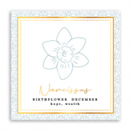 Cartes à bijoux Fleur de naissance Décembre-Narcisse Gris verdâtre