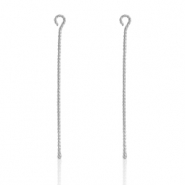 Apprêts en acier Inox clou à tête ronde 50mm Argenté