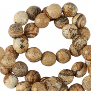 Pierres naturelles Jaspe Dalmatien 4mm facett&eacute;es Marron bronze