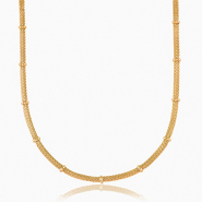 Colliers en acier Inox Doré