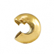 Apprêts en acier Inox Crimp Cover 5mm Doré