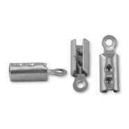 Apprêts en acier inox fermoir pour lacet Argenté