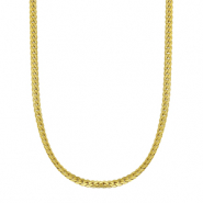 Colliers en acier Inox Doré