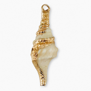 Pendentifs coquillage specials Buccin Beige-doré