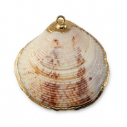 Pendentifs coquillage specials Coquille Saint-Jacques Marron mélangé-doré