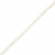 Perles coquillage rond Blanc