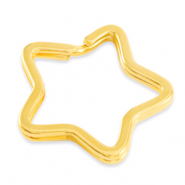 Apprêts en métal DQ porte-clés étoile Doré (sans nickel)