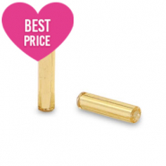 Perles de rocailles Special Bugles Dor&eacute;