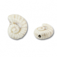 Perles en c&eacute;ramique coquille Blanc cass&eacute;
