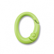 Apprêts colorés porte-clés ovale Vert