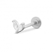 Piercing d’oreilles en acier Inox feuille Argenté