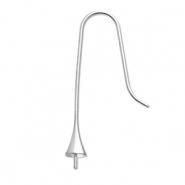 Apprêts en acier inox boucles d'oreilles crochet avec embout Argenté