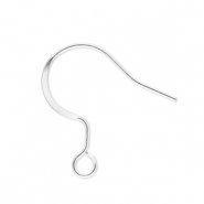 Apprêts en acier inox boucles d'oreilles crochet avec anneau Argenté