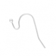 Apprêts en acier inox boucles d'oreilles crochet Argenté