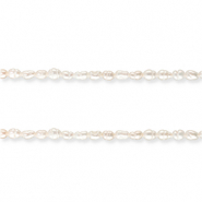 Perles d'eau douce "grain de riz" Blanc naturel