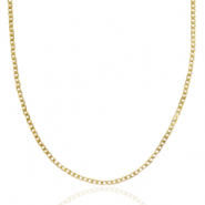 Colliers en acier Inox chaîne maille Doré