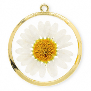 Pendentifs avec fleurs séchées 34 mm Doré-blanc-orange doux