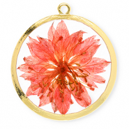 Pendentifs avec fleurs s&eacute;ch&eacute;es 34 mm Dor&eacute;-rouge corail vif