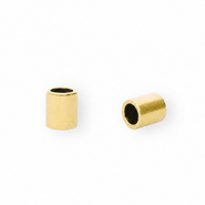 Apprêts en acier Inox embout Ø2.5 mm Doré