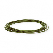 Cuir rond&nbsp;1&nbsp;mm Vert