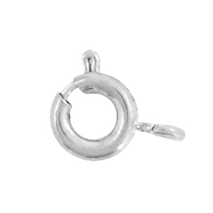 Appr&ecirc;ts en acier inox fermoir bou&eacute;e 5mm Argent&eacute;