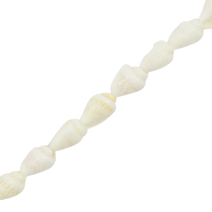 Perles coquillage buccin Blanc (couleur naturelle)