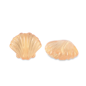 Perles acryliques coquillage Transparent marron cuivre