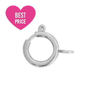 Appr&ecirc;ts en acier inox fermoir 6x8mm Argent&eacute;