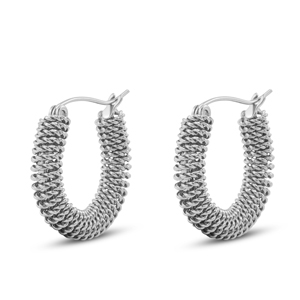 Boucles d'oreilles / puces en acier Inox Argent&eacute;