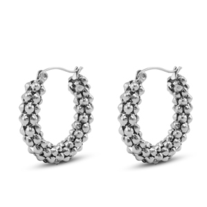 Boucles d'oreilles / puces en acier Inox Argent&eacute;