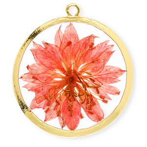 Pendentifs avec fleurs s&eacute;ch&eacute;es 34 mm Dor&eacute;-rouge corail vif