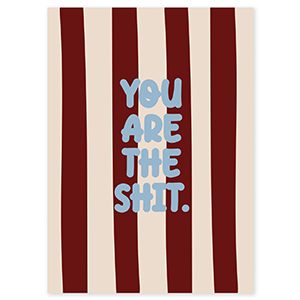 BY31&reg; Cartes &agrave; bijoux "You are the shit" Marron-cr&eacute;me-bleu clair