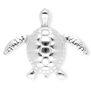 Broches accroche-regard en acier inox tortue Argent&eacute;