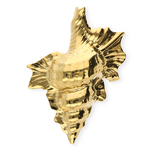 Broches accroche-regard en acier inox coquille Dor&eacute;