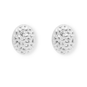 Appr&ecirc;ts en acier Inox boucles d'oreilles / puces d&rsquo;oreilles ovale avec anneau Argent&eacute;