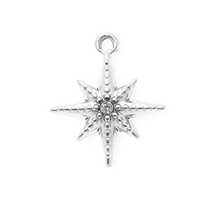 Breloques en acier Inox avec strass &eacute;toile Argent&eacute;-cristal